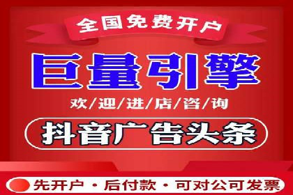 竞价广告在XX行业的成功应用案例